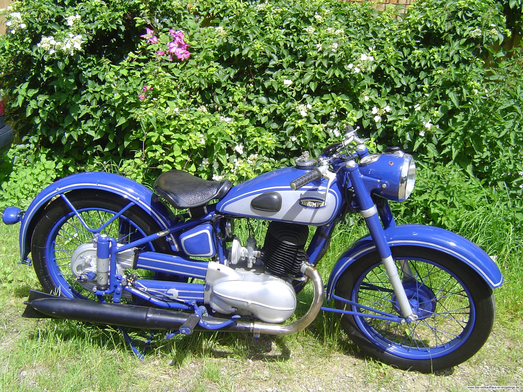 Triumph DBG 250